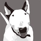 Bull Terrier by Emily Burrowes