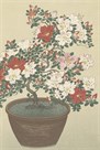 Flowering Azalea by Ohara Koson