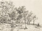 Wooded Landscape - Sketch by The Vintage Collection