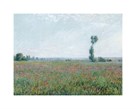 Poppy Field, 1881 by Claude Monet