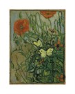Butterflies and Poppies by Vincent Van Gogh
