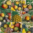 Composition of Fruits by Robert Furber