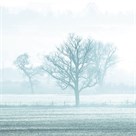Misty Meadow I by Ella Lancaster