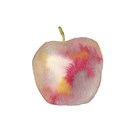 Apple Crunch by Kristine Hegre
