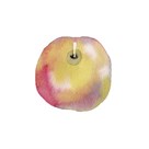 Apple Sweet by Kristine Hegre