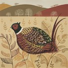 Foraging Pheasant by Catriona Hall