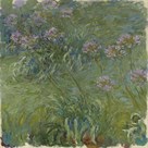 Agapanthus by Claude Monet