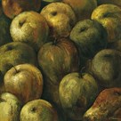 Apples by O'Flannery