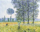 Fields in the Spring, 1887 by Claude Monet