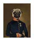 Proudly Pug by Thierry Poncelet