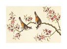 Birds And Flowers On Branch by Anonymous