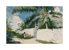 A Garden in Nassau, 1885 by Winslow Homer