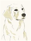 Puppy Profile by Kristine Hegre