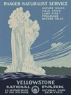 Yellowstone National Park by The Vintage Collection