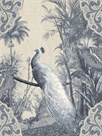 Tropical Fantasy - Peacock by Mark Chandon