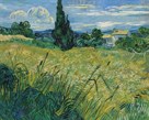 Green Wheat Fields with Cypress, 1889 by Vincent Van Gogh
