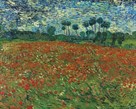 Poppy Field by Vincent Van Gogh