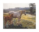 Mare and Foal in a Field of Buttercups by Sir Alfred Munnings