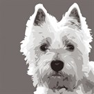 West Highland Terrier by Emily Burrowes