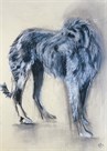 Irish Wolfhound by Philip Blacker