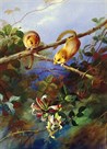 Mice and Honeysuckle by Archibald Thorburn