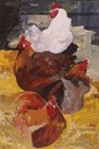 Roosting Hens by Anuk Naumann