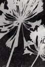 Allium Shade by Ella Lancaster