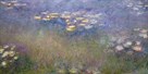 Water Lillies Agapantus, c.1914-1917 by Claude Monet