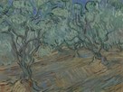Olive Grove, Saint-Rémy-De-Provence, June 1889 by Vincent Van Gogh