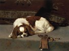 King Charles Spaniel Resting by Frederick Hall