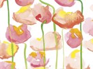 Colours in Bloom by Sarah Von Dreele