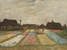 Flower Beds In Holland Bulb Fields by Vincent Van Gogh