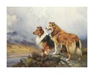 Collies in a Highland Landscape by Wright Barker