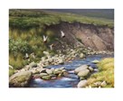 Grouse by a Moorland Stream by Rodger McPhail