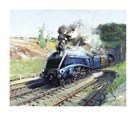 Mallard by Terence Cuneo