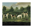 Two Couples of Hounds in a Park by Francis Sartorius
