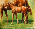 Foal and Mother by Susan Crawford