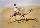 Bedouin Rider with Racing Camel by Susan Crawford