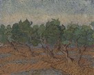 Olive Grove by Vincent Van Gogh
