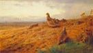 Red-Legged Partridge by Archibald Thorburn