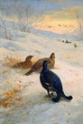 Winter in the Glen by Archibald Thorburn
