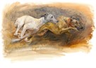 Whippets Running by Susan Crawford
