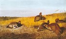 Pheasants by Archibald Thorburn