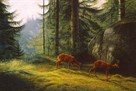 Roe Deer I by Peter Munro