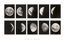 Phases of the Moon by The Vintage Collection