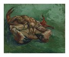 Crustacean Lying On His Back by Vincent Van Gogh
