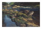 Riverbank Tales by Peter Munro