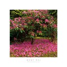 Rhododendron by Bent Rej