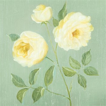 Abundant Rose I Print by Mimi Roberts