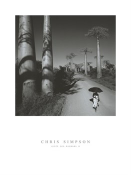 Allee Des Baobabs II Print by Chris Simpson
